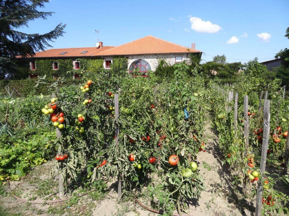 Hotel La Ferme De Rouffignac Blanzac  Zewnętrze zdjęcie
